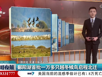 【一路向北 又逢一年迁徙时】鄱阳湖首批一万多只越冬候鸟启程北迁
