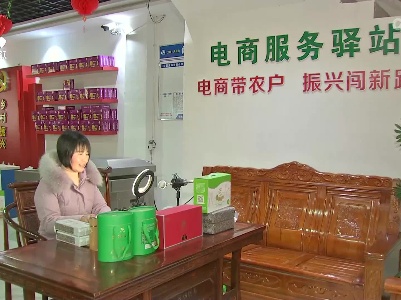 【代表委员在基层】谭新萍：推进农村电商发展 助力乡村振兴