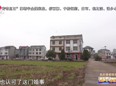 都市情缘20230221 我的婚姻我做主