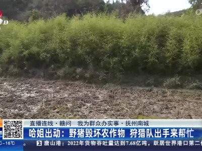 都市现场·午间版20230220