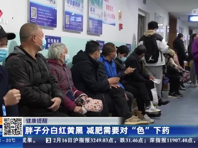 健康提醒：胖子分白红黄黑 减肥需要对“色”下药