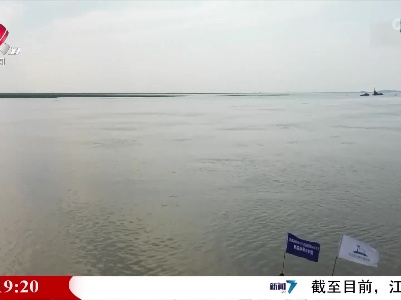 成群江豚在鄱阳湖逐浪戏水