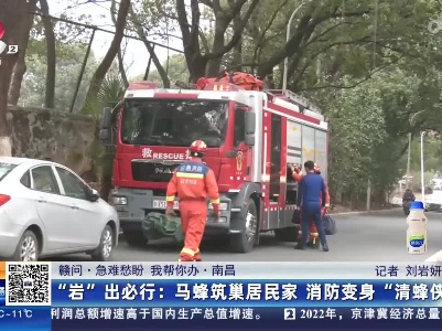 【赣问·急难愁盼 我帮你办·南昌】“岩”出必行：马蜂筑巢居民家 消防变身“清蜂侠”
