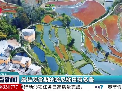 最佳观赏期的哈尼梯田有多美