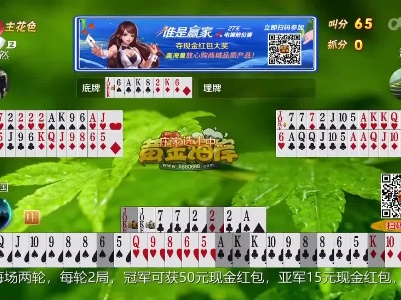谁是赢家20230207