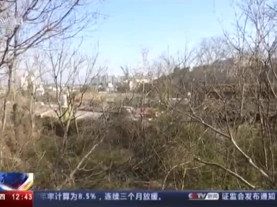  【央视追踪胡某宇事件】警方四次搜索但未带警犬 仓库负责人曾提醒此处为报废蛇园