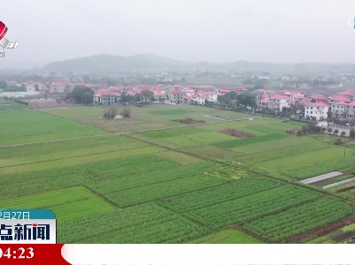 整点新闻20230227 12:00