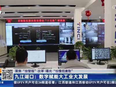 【聚焦“放管服”改革 曝光“怕慢假庸散”】九江湖口：数字赋能大工业大发展
