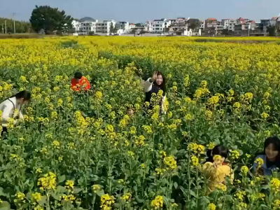 春意赣鄱 花开正好
