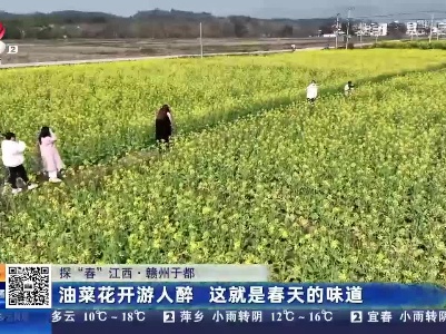 【探“春”江西】赣州于都：油菜花开游人醉 这就是春天的味道