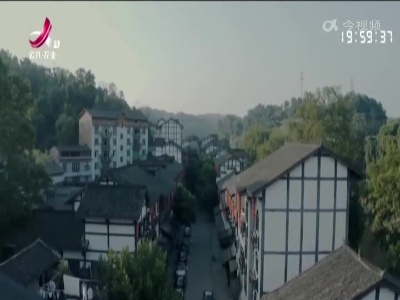 乡村栏目剧场20230209 妻子的谎言