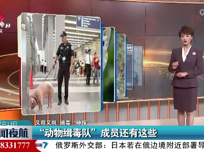 【又萌又飒 缉毒“神探”】“动物缉毒队”成员还有这些