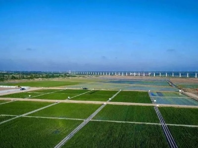 【地评线】江右时评：在中国式现代化中书写精彩答卷