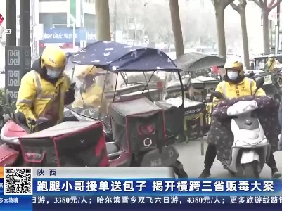 陕西：跑腿小哥接单送包子 揭开横跨三省贩毒大案