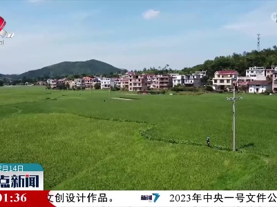 整点新闻20230214 10:00
