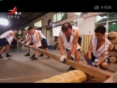 五哥帮忙团20230203