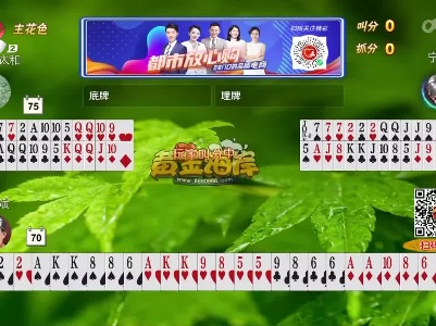 谁是赢家20230220