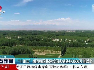 “十四五”期间我国将建设国家储备林3600万亩以上