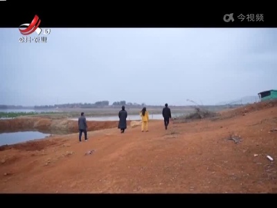 稻花香里20230119 乡村振兴进行时——寻味会飞的大鹅
