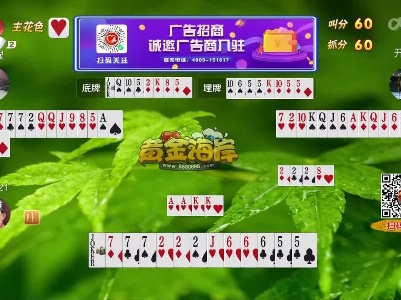 谁是赢家20230221