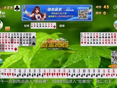 谁是赢家20230213