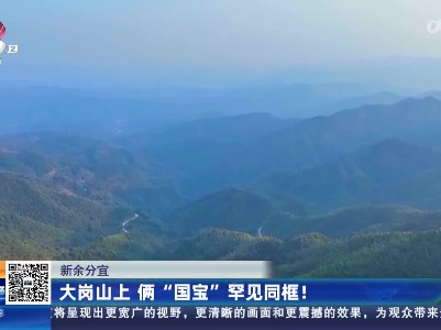 都市现场20230214