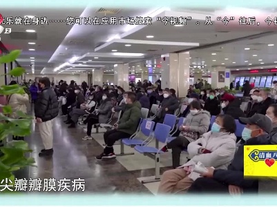 地宝清血小课堂——二尖瓣反流