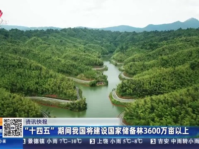 “十四五” 期间我国将建设国家储备林3600万亩以上