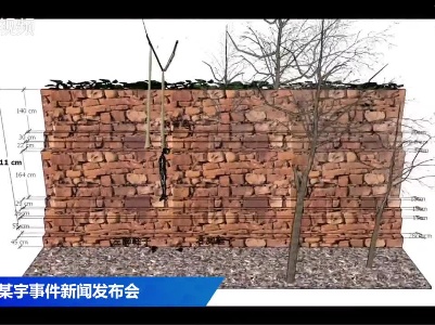 3D动画还原胡某宇缢吊现场情况