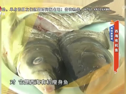 美味家常菜：西海有机鱼