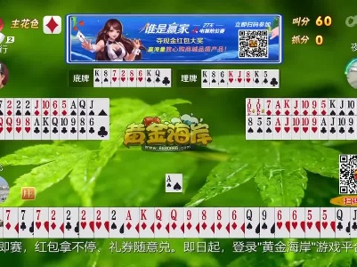 谁是赢家20230217