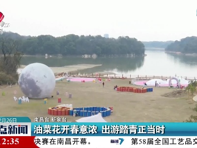 油菜花开春意浓 出游踏青正当时