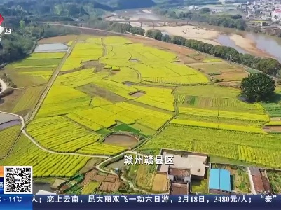 都市现场20230215