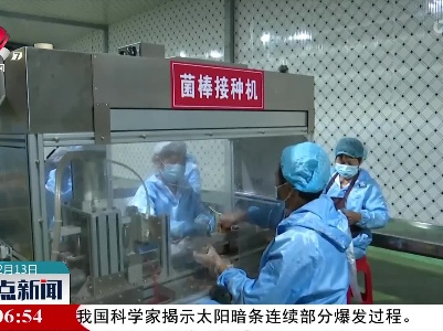 产业发展为乡村振兴添活力