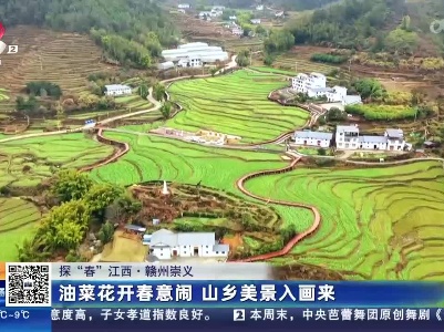都市现场20230212