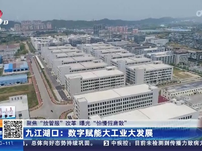 【聚焦“放管服”改革 曝光“怕慢假庸散”】九江湖口：数字赋能大工业大发展