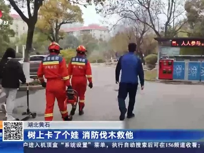 湖北黄石：树上卡了个娃 消防伐木救他