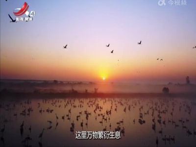 走近自然20230204