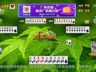 谁是赢家20230206