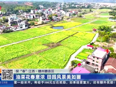 【探“春”江西】赣州赣县区：油菜花春意浓 田园风景美如画