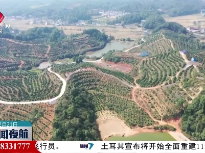 我省废弃矿山生态修复面积完成68％