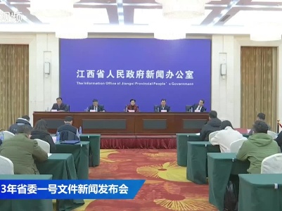 2023年省委一号文件新闻发布会