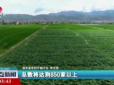 整点新闻20230228 12:00