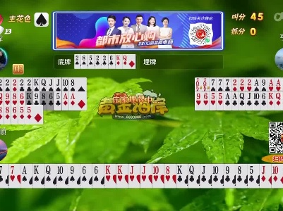 谁是赢家20230218