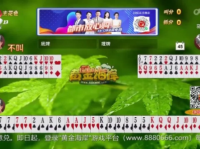 谁是赢家20230208
