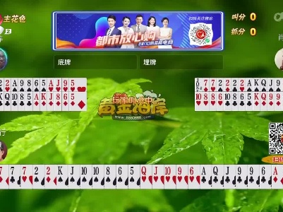 谁是赢家20230211