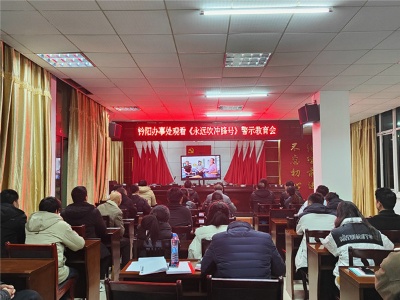 吉安市政府召开省委巡视吉安反馈涉及政府职能方面问题整改推进会