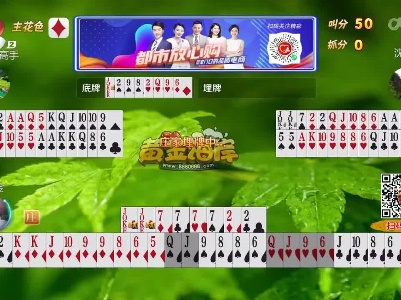 谁是赢家20230223