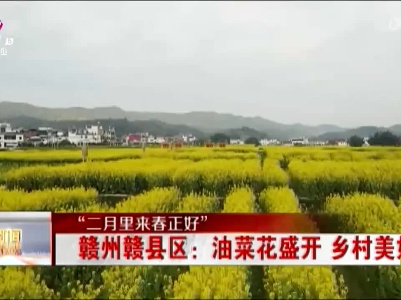 【“二月里来春正好”】赣州赣县区：油菜花盛开 乡村美如画