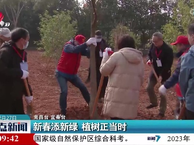 新春添新绿 植树正当时